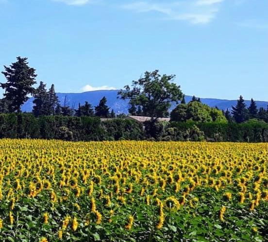 La Roubine, Velleron Villa Bagian luar foto