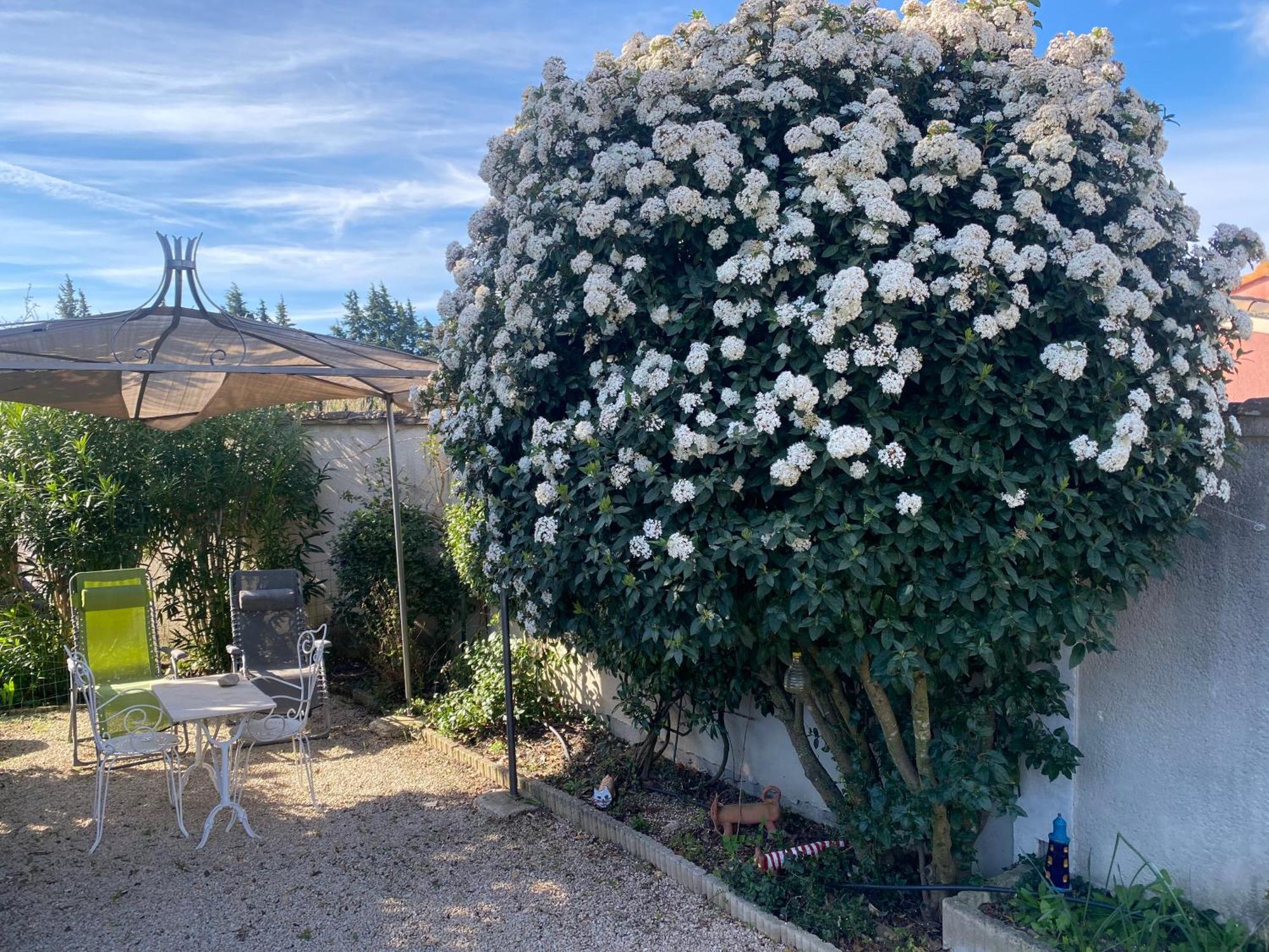 La Roubine, Velleron Villa Bagian luar foto